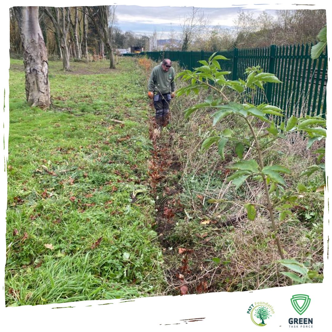 Studies have shown that hedgerows can reduce surface water runoff by up to 40%, helping to mitigate flood risks in rural areas.

If you're a landowner, property owner or farmer and would like to discuss if our team can help you, email info@greentaskforce.co.uk