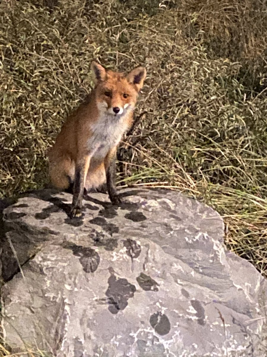 Sander Roos tweet media