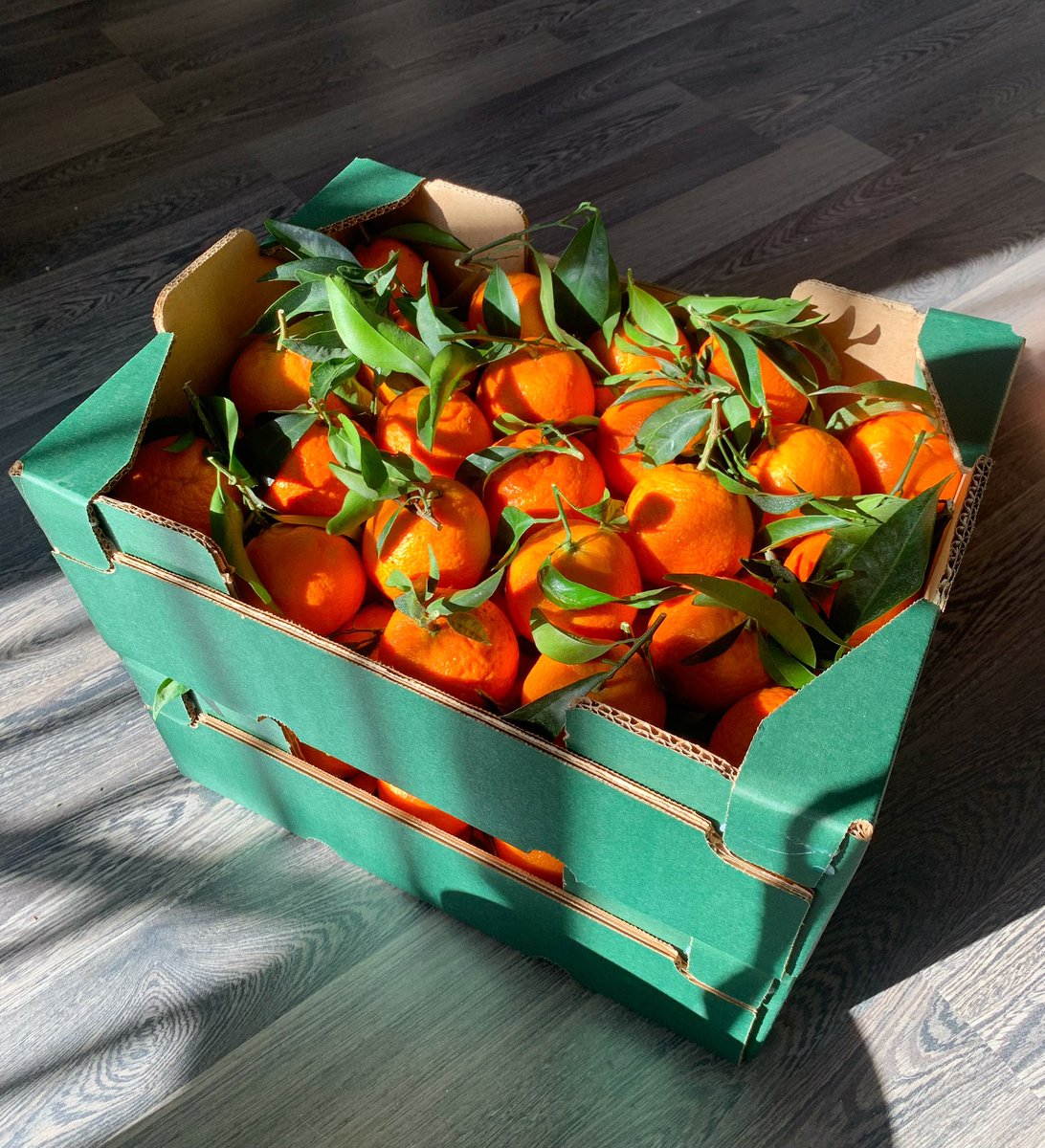 Once we have calibrated the MANDARINA ST NICOLA🍊 &amp; left the ugliest ones in the machine, the packaging process begins. Proud to say that our St Nicola Mandarin is the favourite of thousands of people: organic, fresh, sweet &amp; juicy.
♥️VISITS👉info@gospacitrus.com 
#GospaCitrus