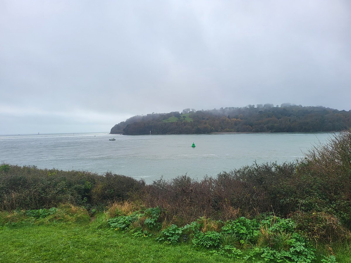 Michael Adam tweet media