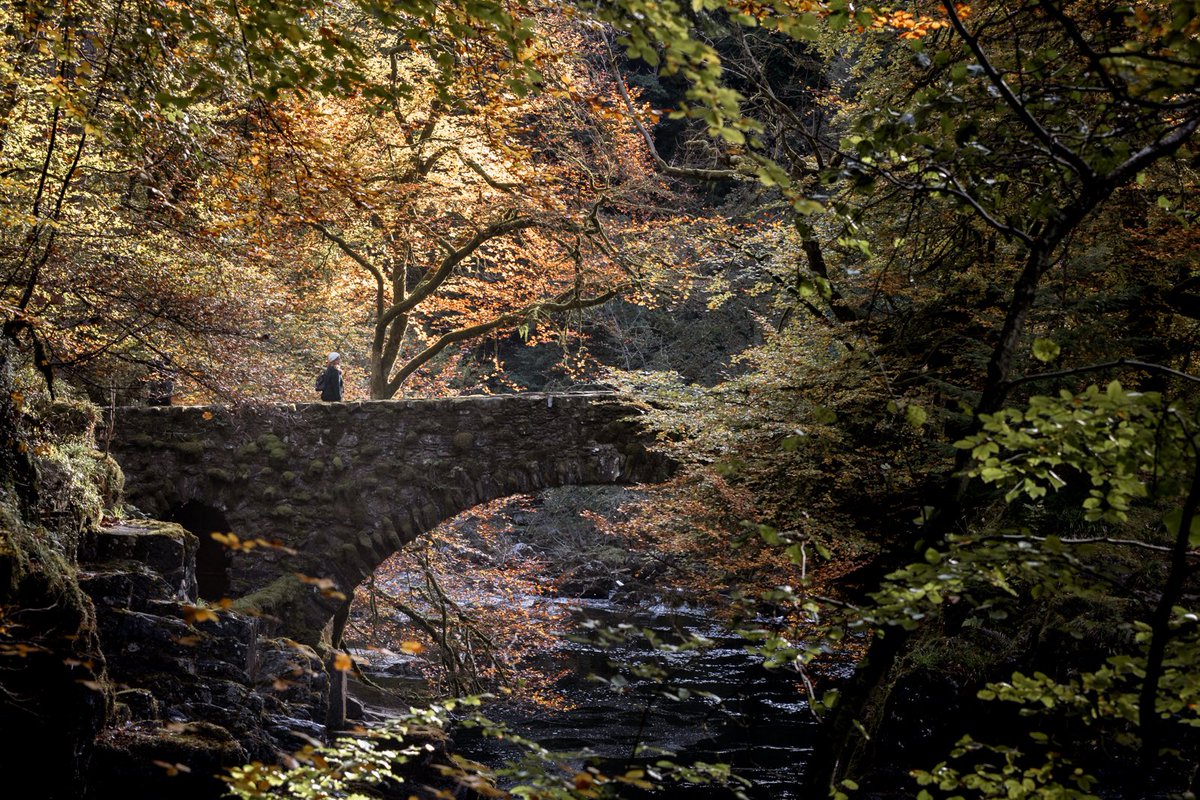 The Hermitage in all its glory. A very popular walk at this time of year, but for good reason. @VisitScotland #perthshire