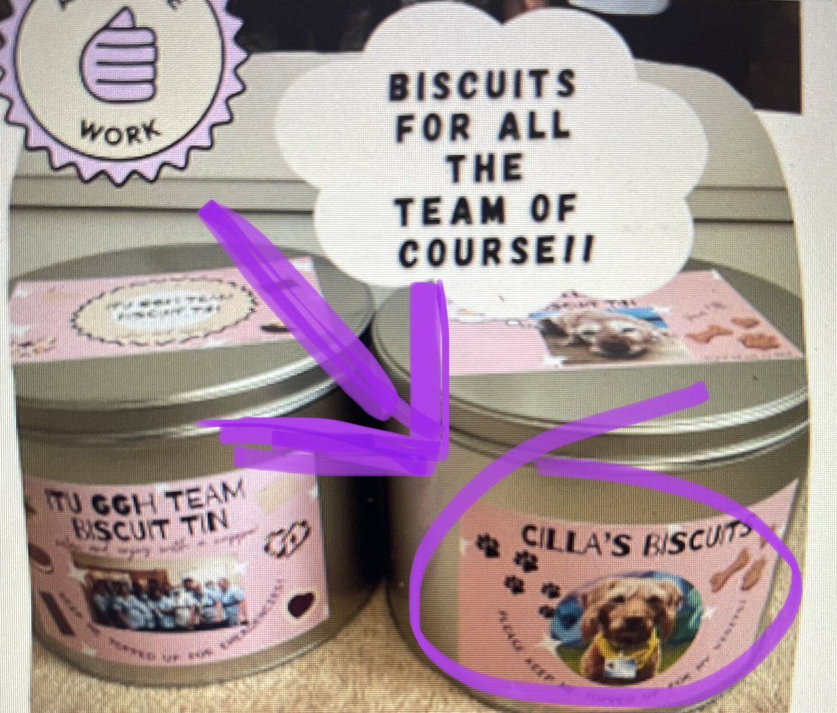 PAT dog Cilla 💙🧡 tweet media