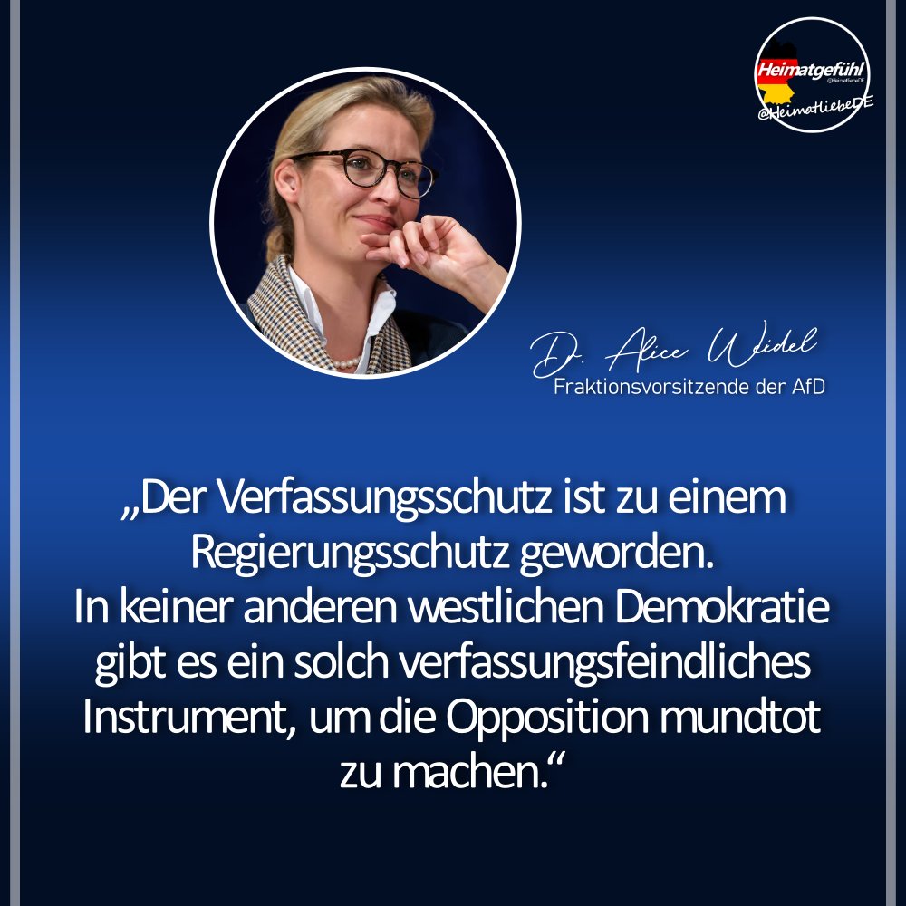 HeimatliebeDE's tweet photo. Dr. Alice Weidel findet auch hier ganz klare Worte! 🔥

#Verfassungsschutz https://t.co/owHNCBWuEk