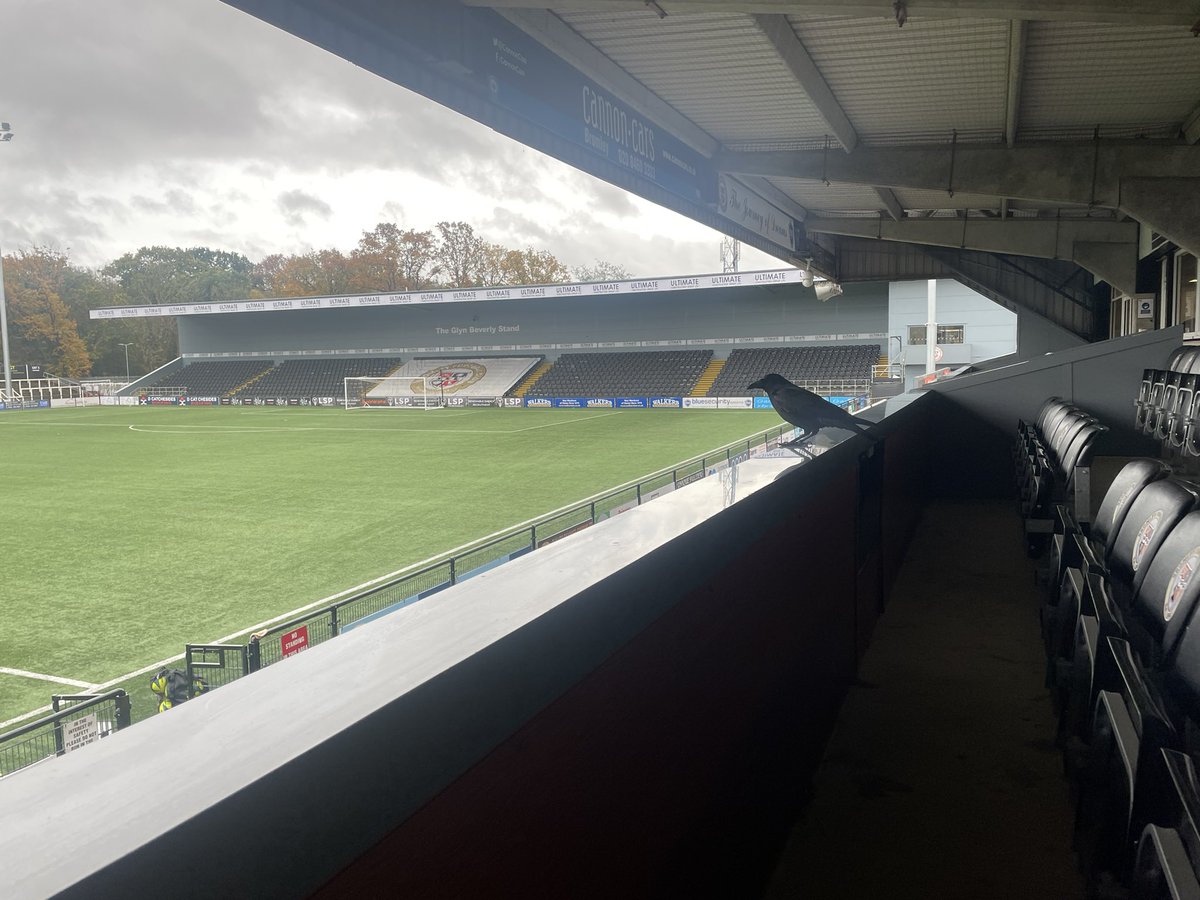 Louis Mendez tweet media