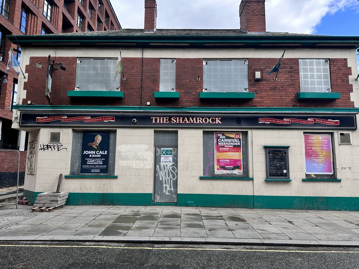 Sunny20122021's tweet photo. Still standing. Surely with the regeneration this could be resurrected ☘️ First of the gang…. https://t.co/g2AQRdwtBL