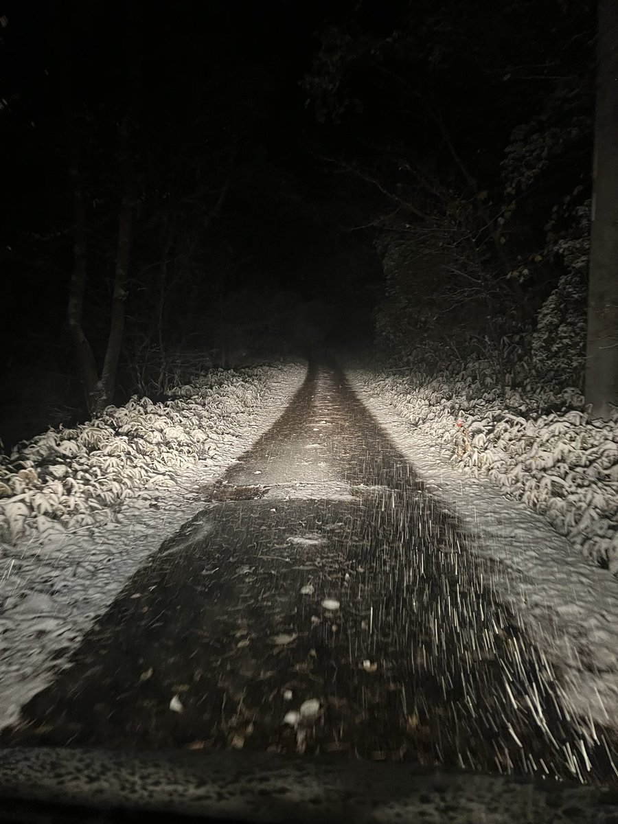 LIVE38427151's tweet photo. 根の上高原キャンプ場なんだけど
明日のWRC雪じゃね？ https://t.co/i3TNZL7JKI