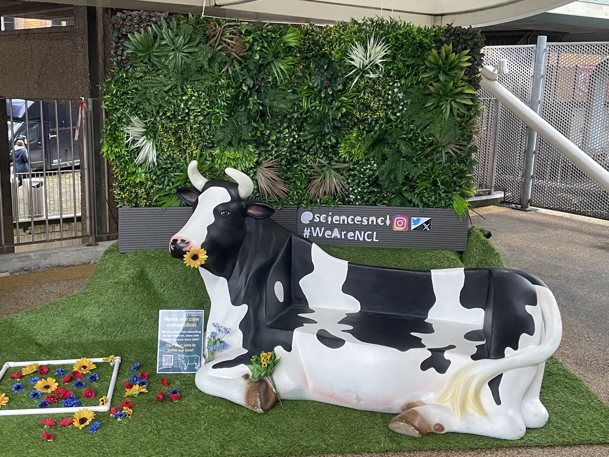 Pippa_J_Moore's tweet image. A great atmosphere ⁦@ScienceNCL⁩ open day. Come along to the Lindisfarne Building to look at the range of sciences we have on offer and speak to our great student ambassadors about our degree programmes #WeAreNCL