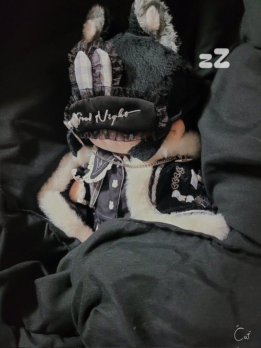 솜태기는 솜으로 극복 💪🤍

#Cat_and_a_som