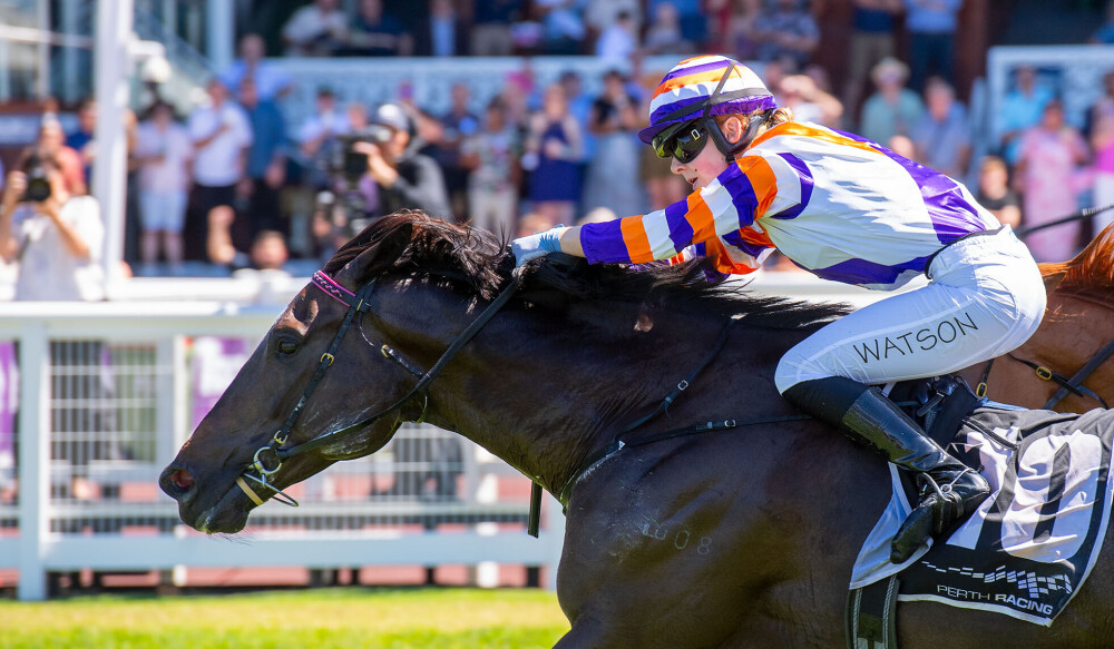 RacingWATV's tweet photo. A difficult week ends brightly and surprisingly for Pateman in R.J.Peters Stakes. https://t.co/3Azy4UOJ2g @santassnippets @TAB_touch @TABradio @WesternRacepix @PerthRacing @FanfaveA #ascot #pinnacles https://t.co/Wy1RhgKYwW