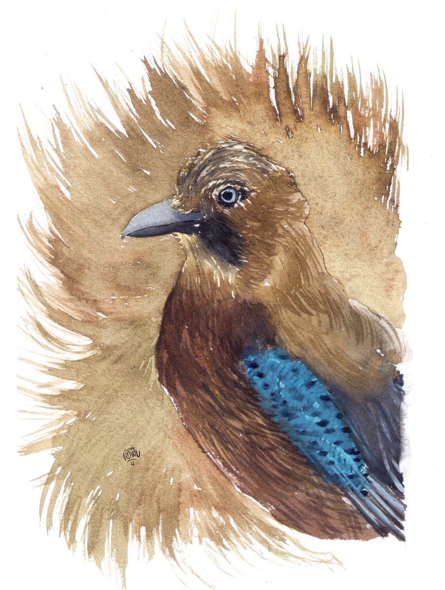 Alakarga
#watercolorpainting 
#birdillustration