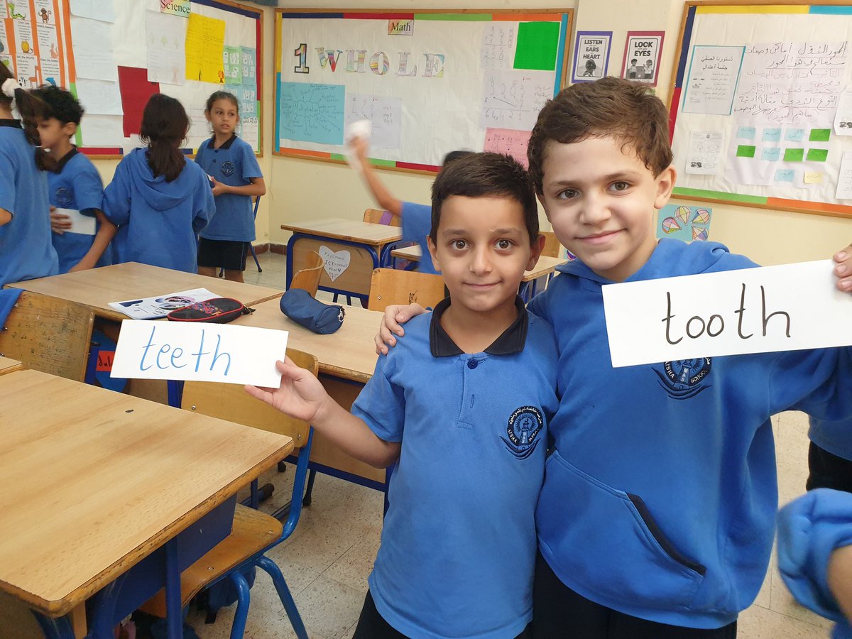 Find you partner activity #Irregular Plural Nouns <a href="/MakAishaSchool/">MakAishaSchool</a> <a href="/mayawehbi8/">Maya Wehbi</a>