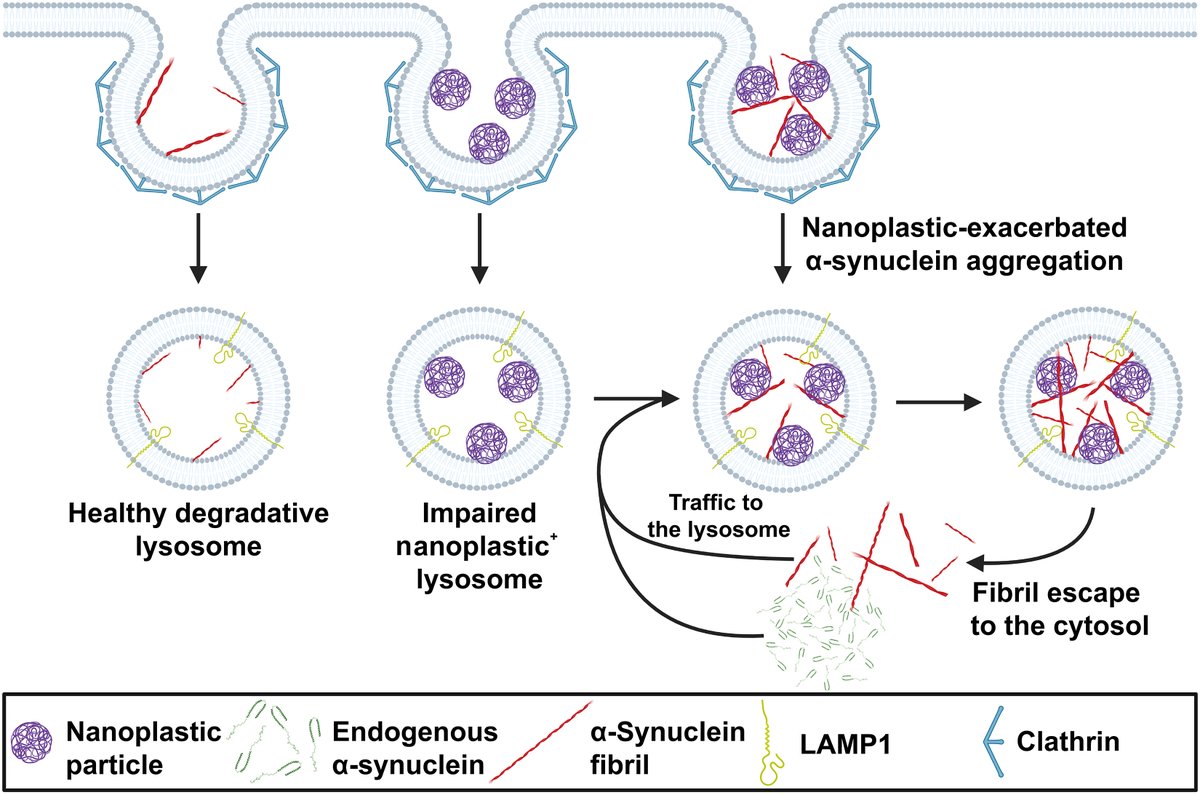 The Science of Parkinson's tweet media