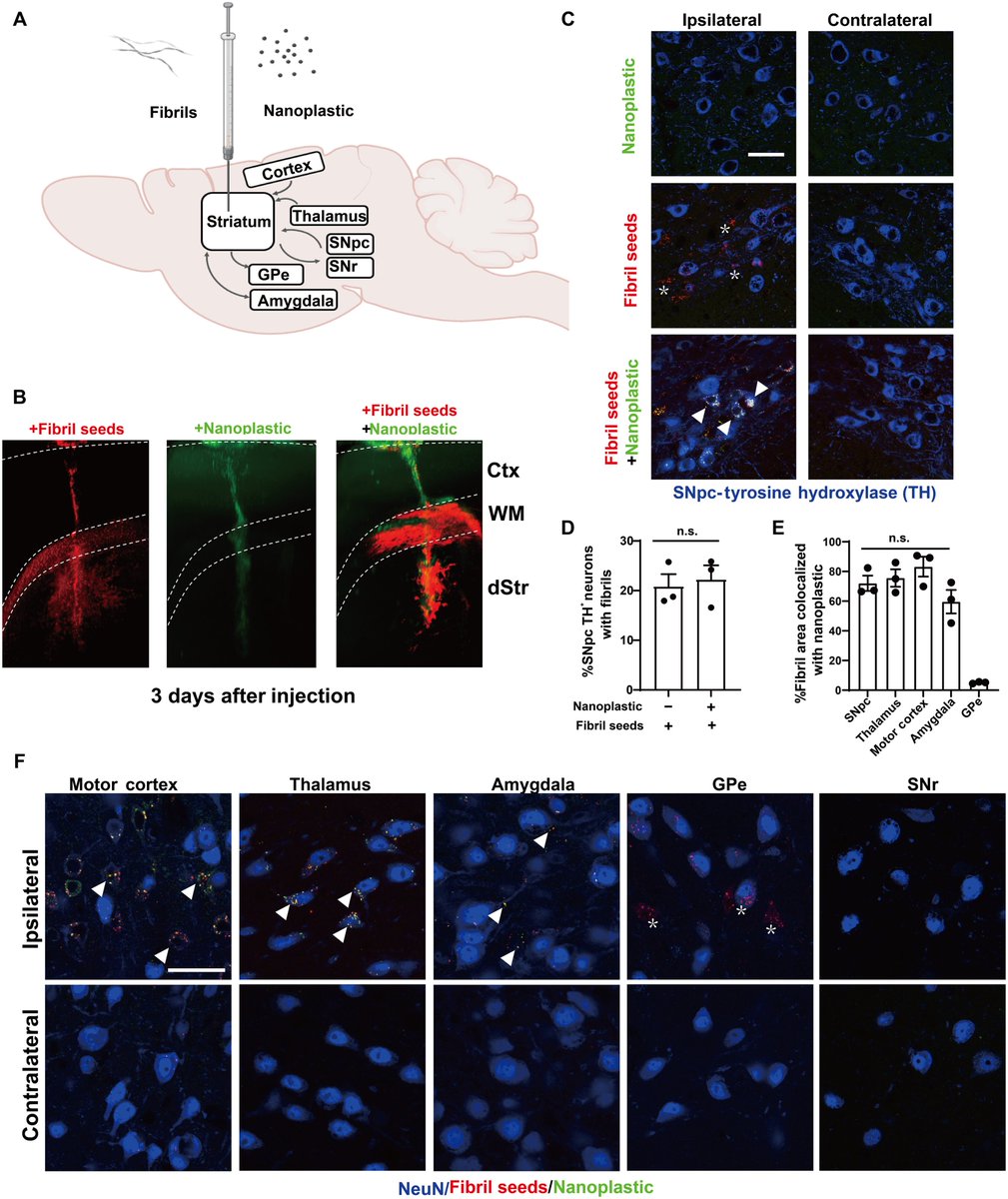 The Science of Parkinson's tweet media