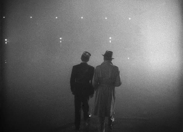 cinesthetic. tweet media