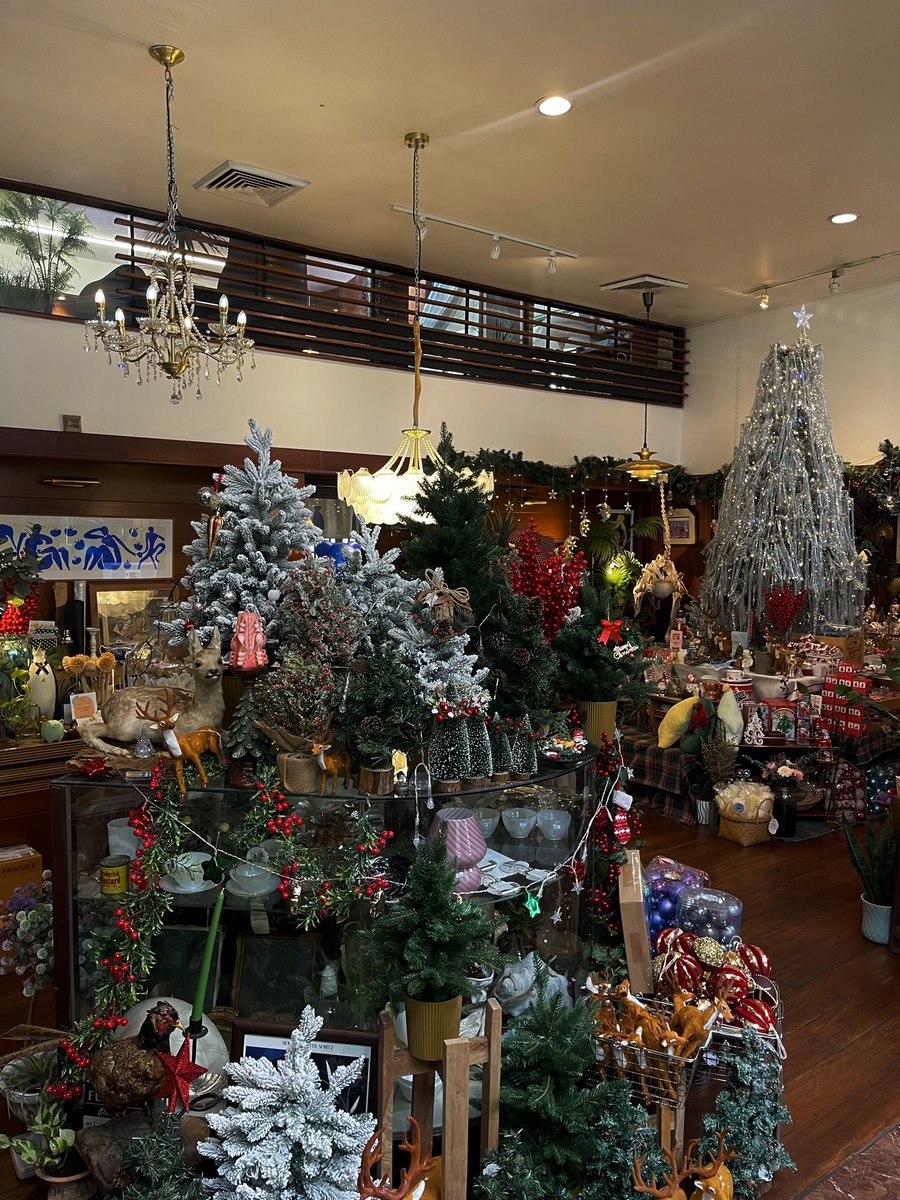 sfkkfs_'s tweet photo. ใครหาของแต่งช่วงอินคริสต์มาส แนะนำร้าน Blue Wild Space ของแต่งเยอะมาก🎄🎁 แค่เปิดร้านเข้าไปก็แฮปปี้แล้ว ลายตาเลือกไม่ถูก 555555 ราคาไม่แพง ชอบเทศกาลนี้มากเลย ทุกอย่างดูอบอุ่น ใจฟูไปหมด🎅🏻 https://t.co/Gw8nqZvuYa