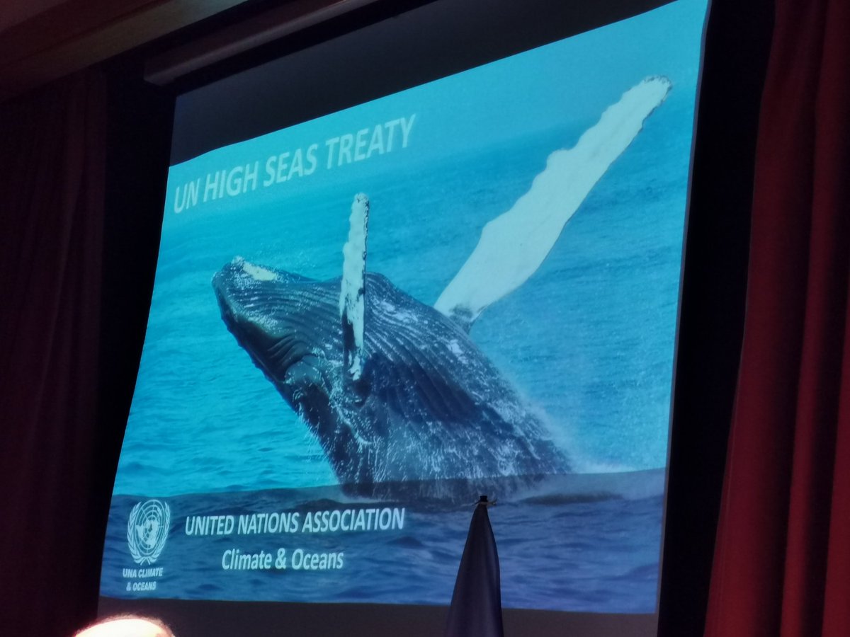 CommunityS_2021's tweet photo. Finding out about the High Seas Treaty at the Oceans Symposium event in #Bexhill.
#HighSeasTreaty #OceanSymposium2023 #WaterwaysCommunity @unaclimateocean @SussexWildlife https://t.co/lhhelepgvx