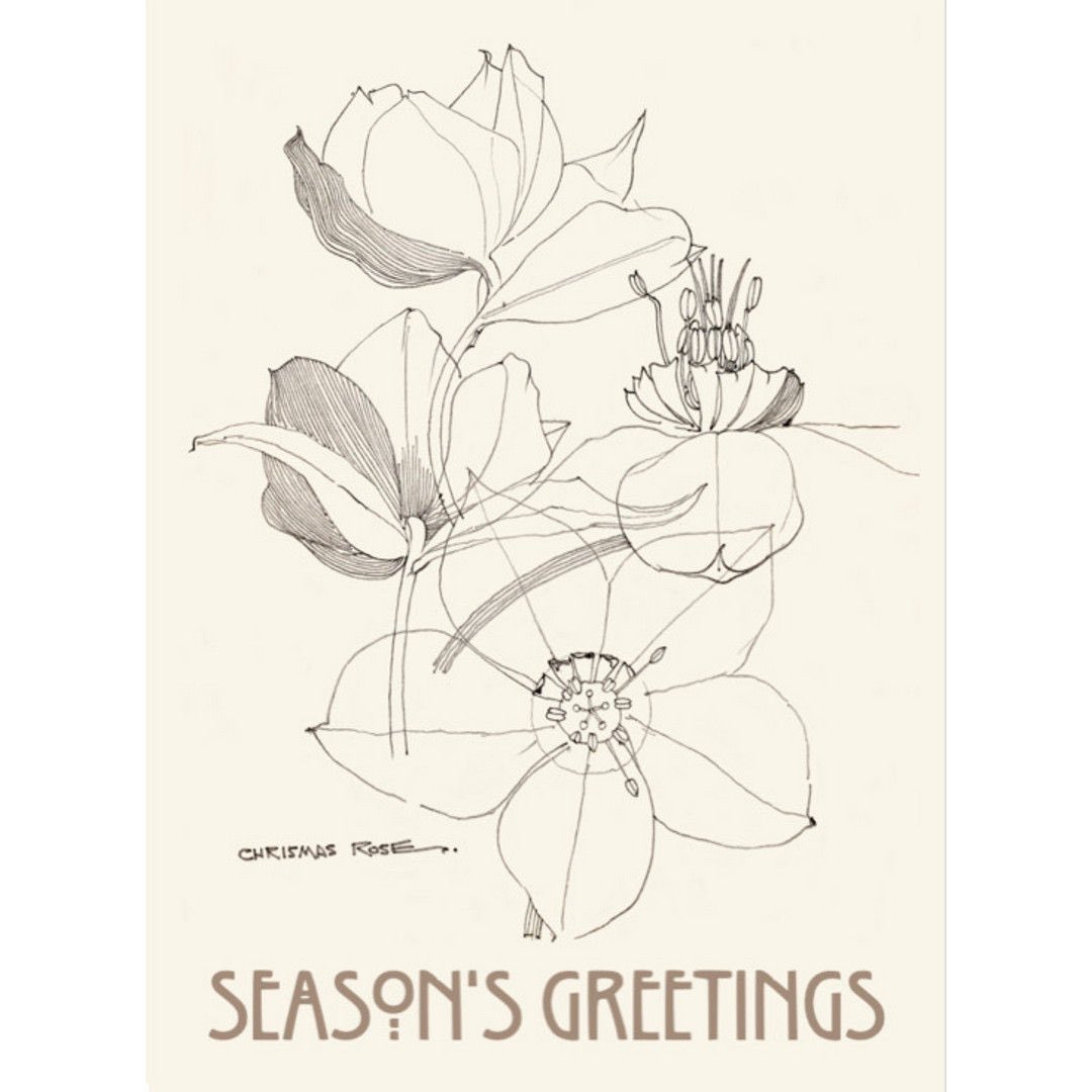 Back in stock. Our gorgeous premium Christmas cards featuring an original drawing by Charles Rennie Mackintosh. Just now we have a multipack offer with **free UK shipping** Clicky... duille.com/crose