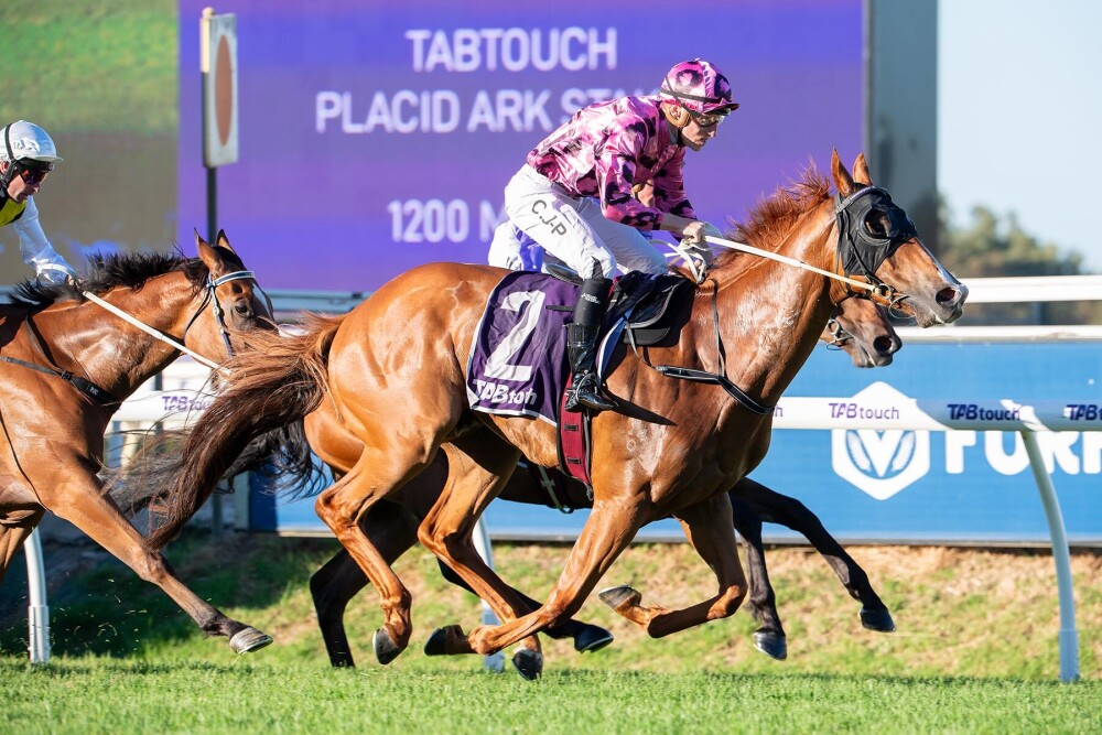 RacingWATV's tweet photo. Ripcord lets rip to win Placid Ark Stakes and set up potential shot at Winterbottom Stakes. https://t.co/vj3OEUC17D @santassnippets @TAB_touch @TABradio @WesternRacepix @PerthRacing @FanfaveA #ascot #pinnacles https://t.co/I9LBlXJUfx