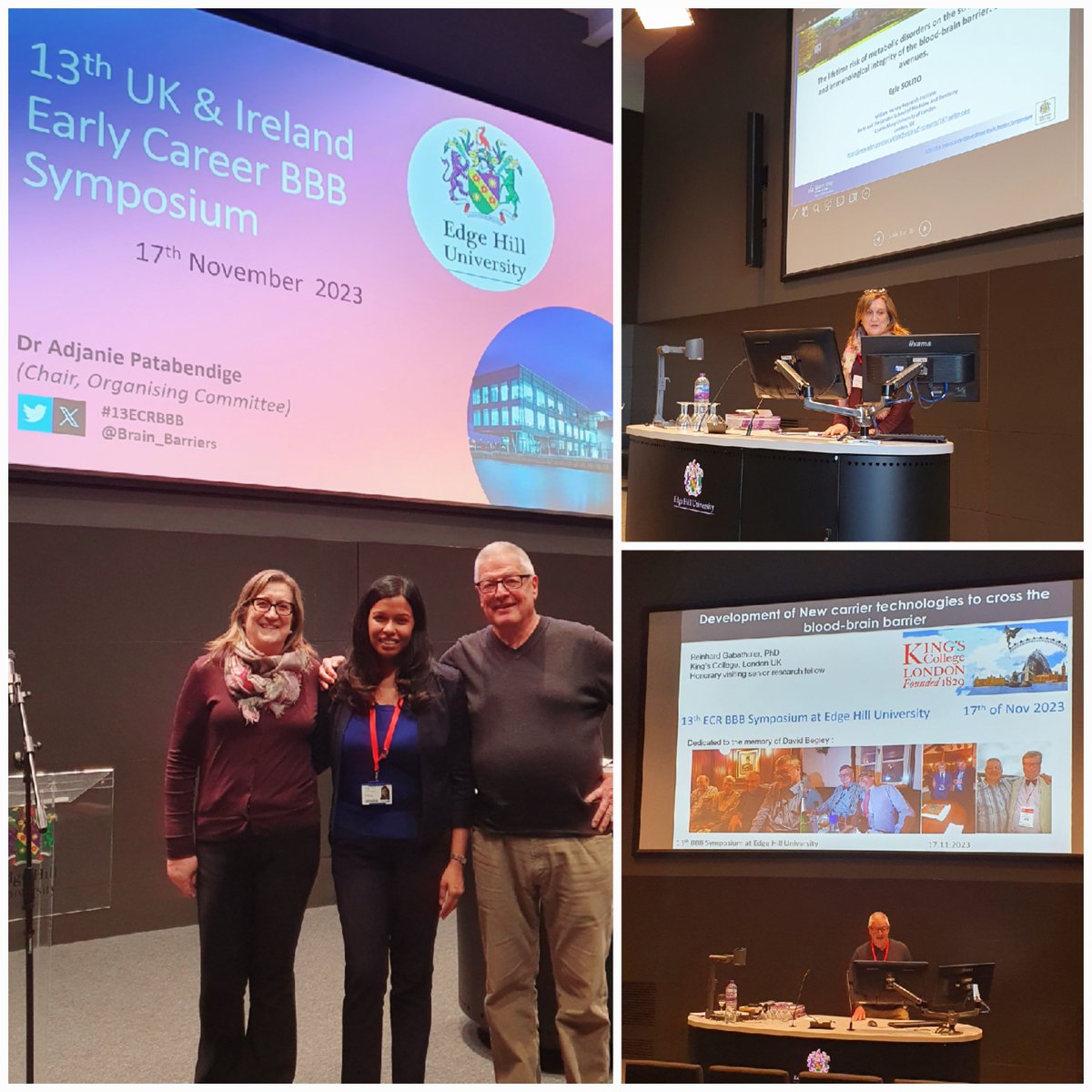 Many thanks to our keynote speakers Prof Egle Solito @esolitolab and Dr Reinhard Gabathuler for two very exciting and insightful presentations! Lovely to also see so many brilliant ECR presentations. The future of #BBB research is bright! 👏 🧠#13ECRBBB @EHU_Research @BiologyEHU