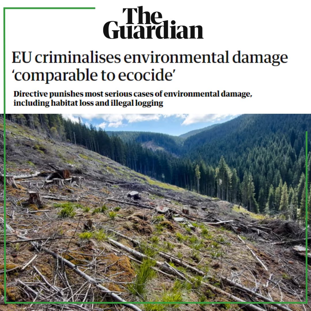 #EU becomes 1st international body to criminalise mass environmental damage “comparable to #ecocide”. A MASSIVE victory for the global #EcocideLaw movement. Up next - the @IntlCrimCourt !! @guardian article: theguardian.com/environment/20… #StopEcocide @marietouss1 @wemoveEU