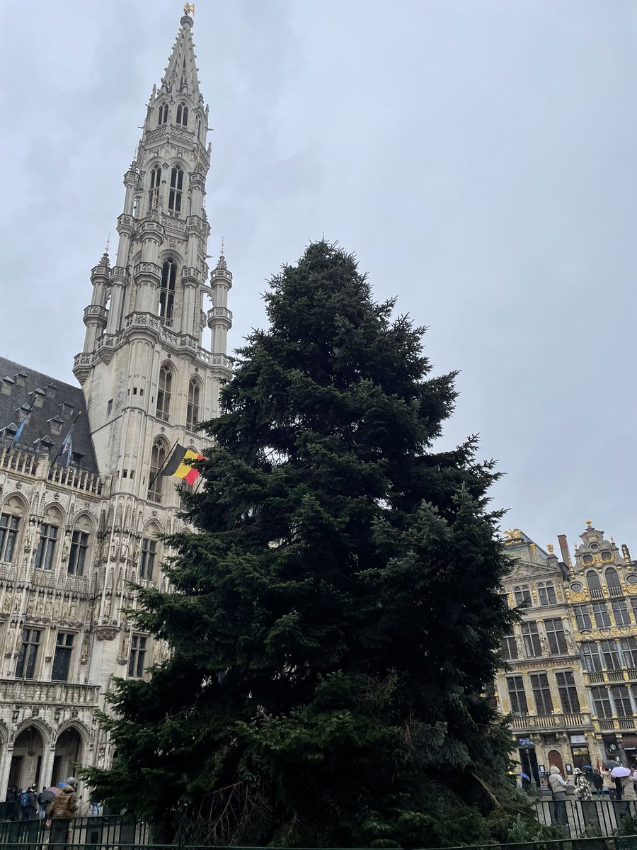 🎄🎄🎄

#SaturdayVibes #photography #GrandPlace #GroteMarkt #Brussels 🇧🇪🇪🇺