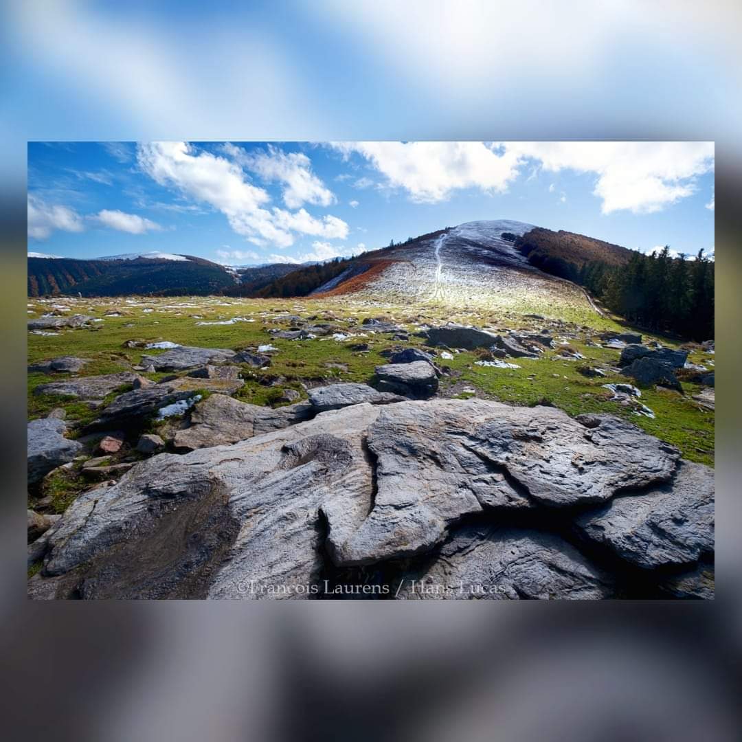 PARC_PA's tweet photo. Une balade autour de la forêt du Consulat de #Foix. Premier jour d'une nouvelle série sur les paysages du #PNR, par le photographe et Guide de Haute Montagne François Laurens #hanslucas
@kamelchibli @ariegeledpt @Occitanie @Prefet09 @ThomasFromentin @GuichouFabien https://t.co/v9SQY4szWX