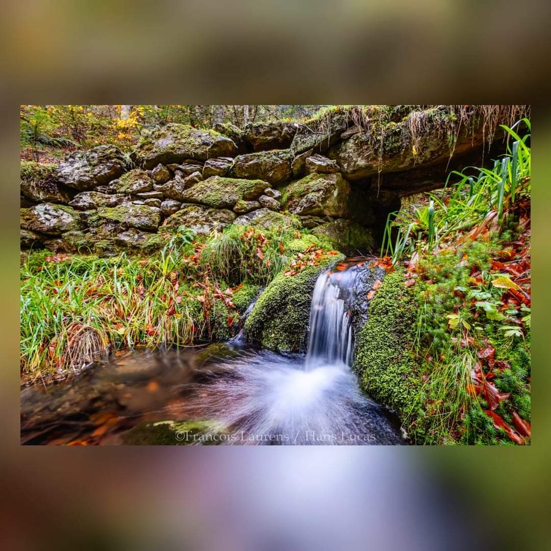 PARC_PA's tweet photo. Une balade autour de la forêt du Consulat de #Foix. Premier jour d'une nouvelle série sur les paysages du #PNR, par le photographe et Guide de Haute Montagne François Laurens #hanslucas
@kamelchibli @ariegeledpt @Occitanie @Prefet09 @ThomasFromentin @GuichouFabien https://t.co/v9SQY4szWX