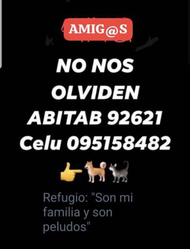 Solo difundo no son casos míos pero como siempre digo hay que ayudar de cualquier forma a estos ángeles no importa de quien es el caso todos estamos p la misma causa
Vean la realidad y tratarán de cambiarla ayuden unámosno p una causa 
Se necesita racion