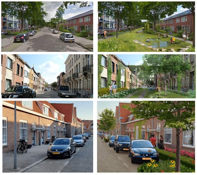 Groen in Amersfoort tweet media