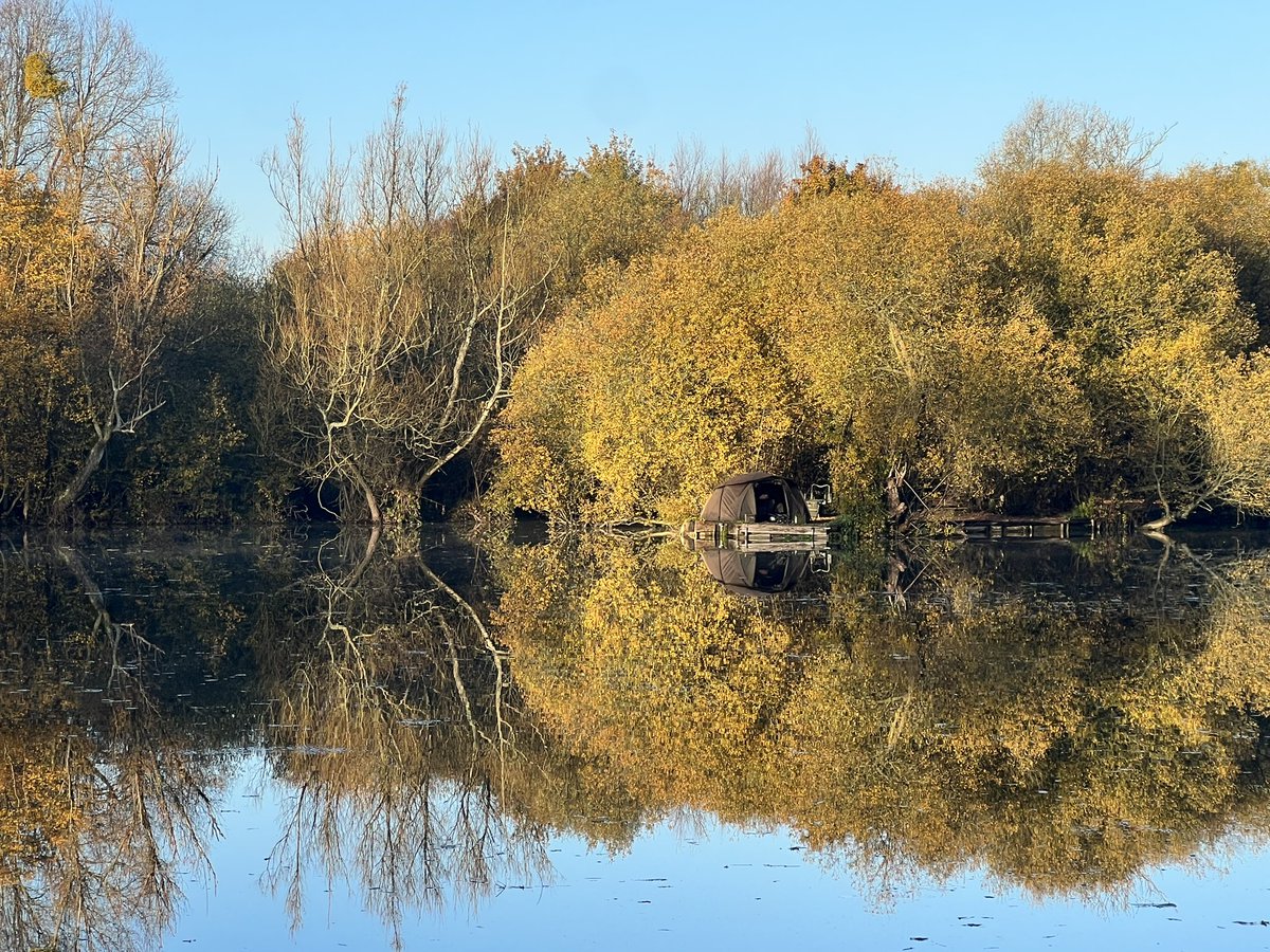 No filter needed. Autumn is beautiful albeit the colder weather is making life harder on the bank. I blanked again yesterday 😫 #ApexAngling #CatchAndRelease #TightLines #Carpography #Autumn #Carp #Fishing #Angling #FishingLife #AnglingLife
