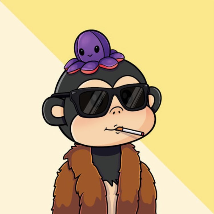 Gm Web3☕️

Saturdays are for Superstars! 🫵