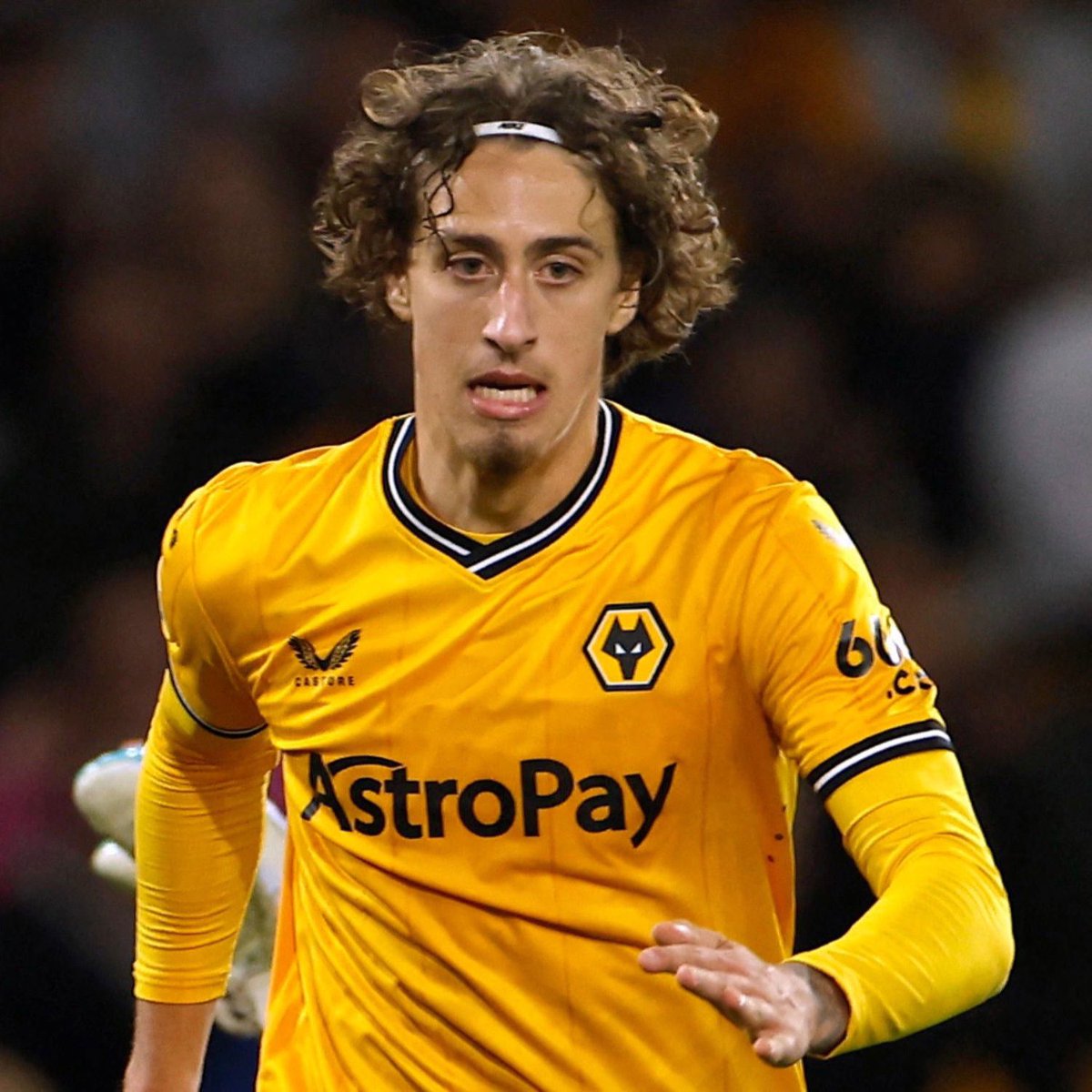 Talking Wolves tweet media