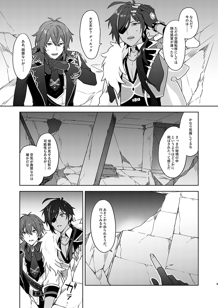 ディルガイ本サンプル(2/3) 