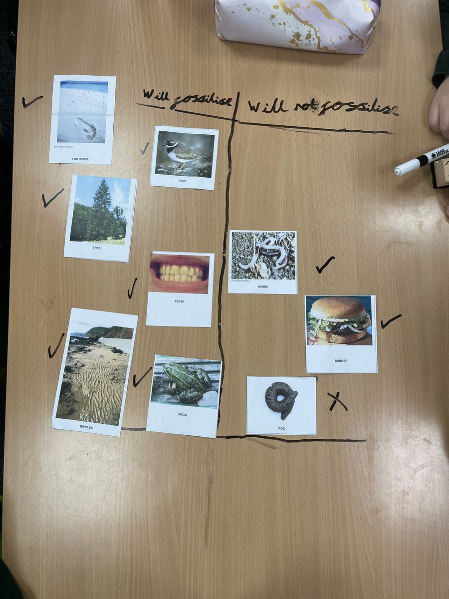 @WideyBuzzard tweet media