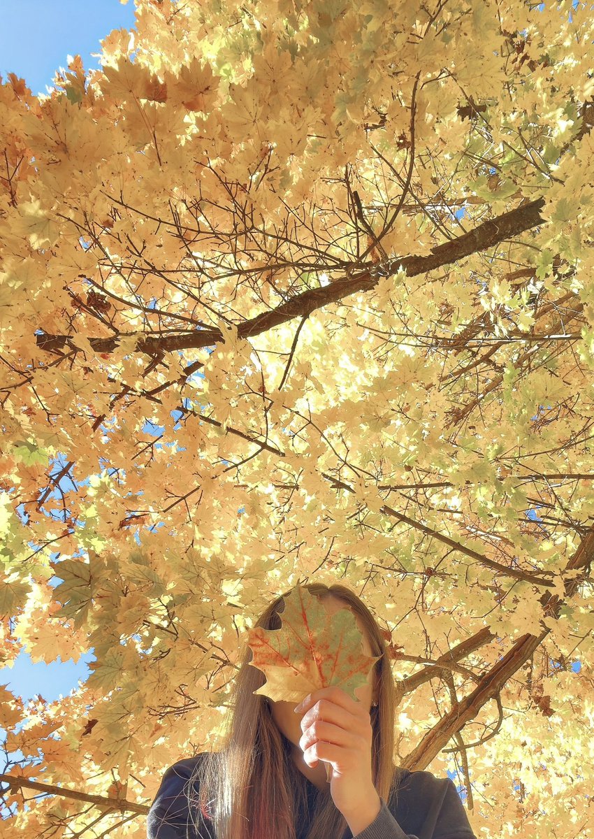 caterinacosta95's tweet photo. Autumn 🍂 
#ItalianAutumn #KanakoHime https://t.co/BYoOier0Yx