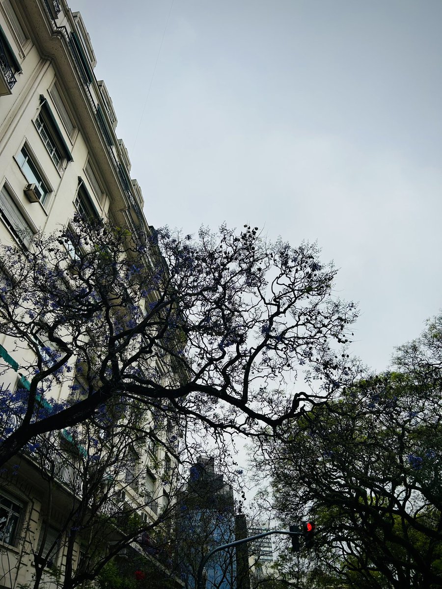 日本Streets tweet media