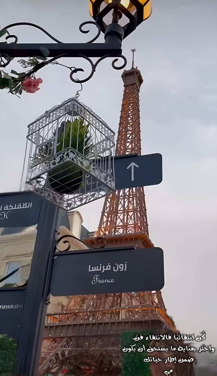 مي tweet media