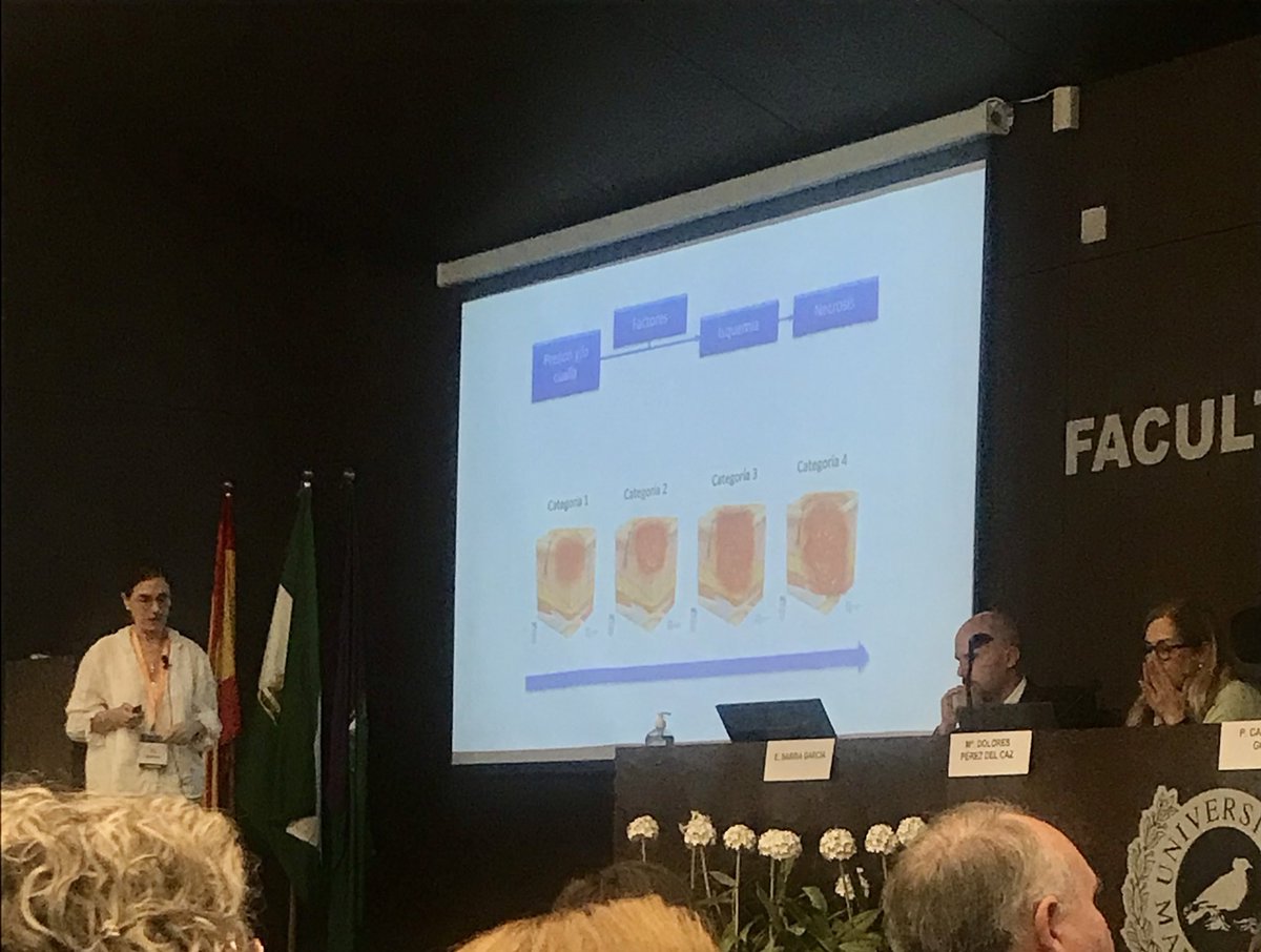 VirgiForero's tweet photo. Begoña Martin EPA de heridas crónicas complejas en @HRegionalMalaga nos explica cómo tratar eficazmente las #LPP: atender al objetivo terapéutico que no siempre y quizás sea la cicatrización #jornadaSEHER https://t.co/odqqZDzKi1