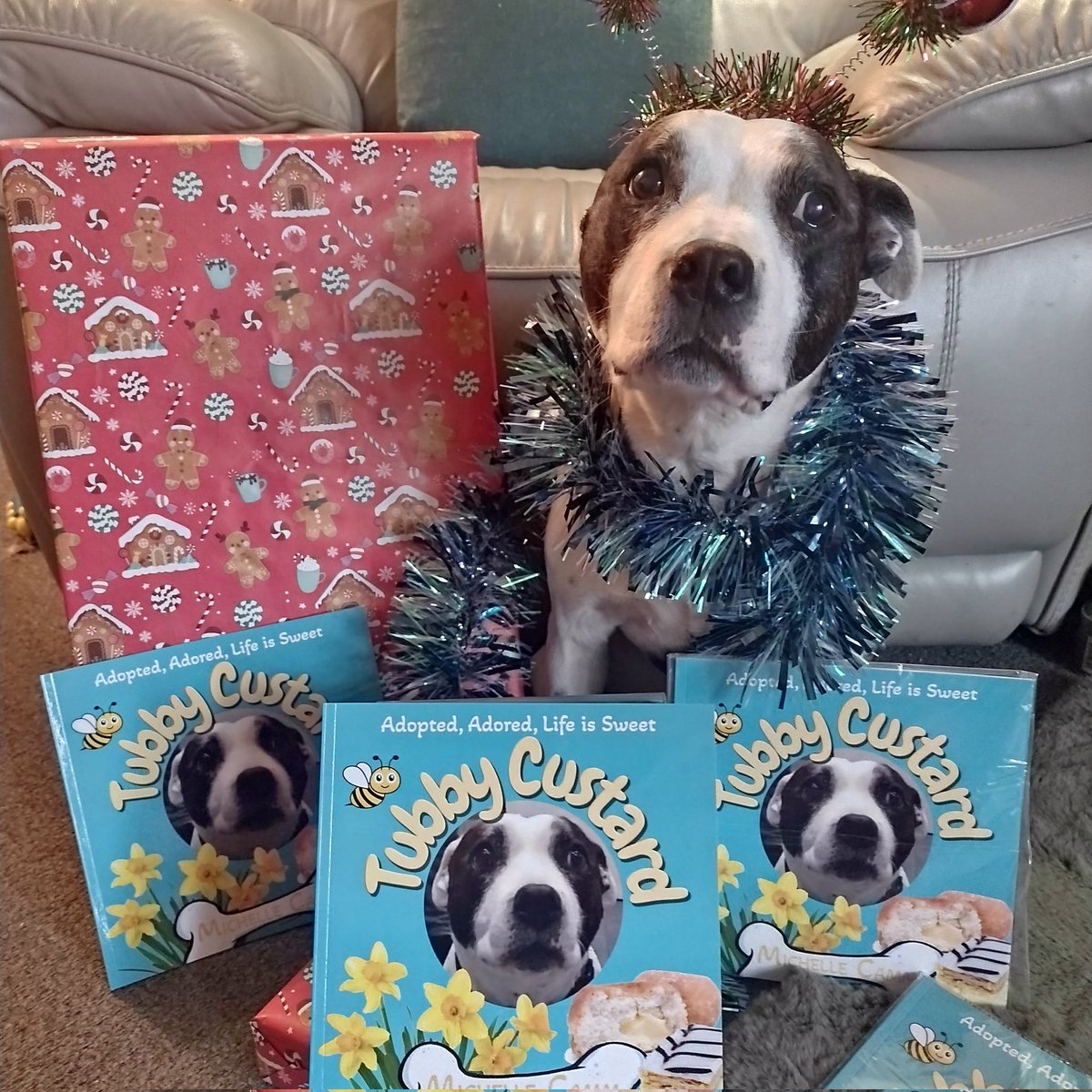 Tubby Custard here. 💛💛💛.
This is my book. It's raising money for dog rescue. Every copy donates £2 to homeless doggies. 💜
Purchase your copy, it's my amazing adoption story. It shares how I fell in love and how my forever family fell in love too. 
seniorstaffyclub.co.uk