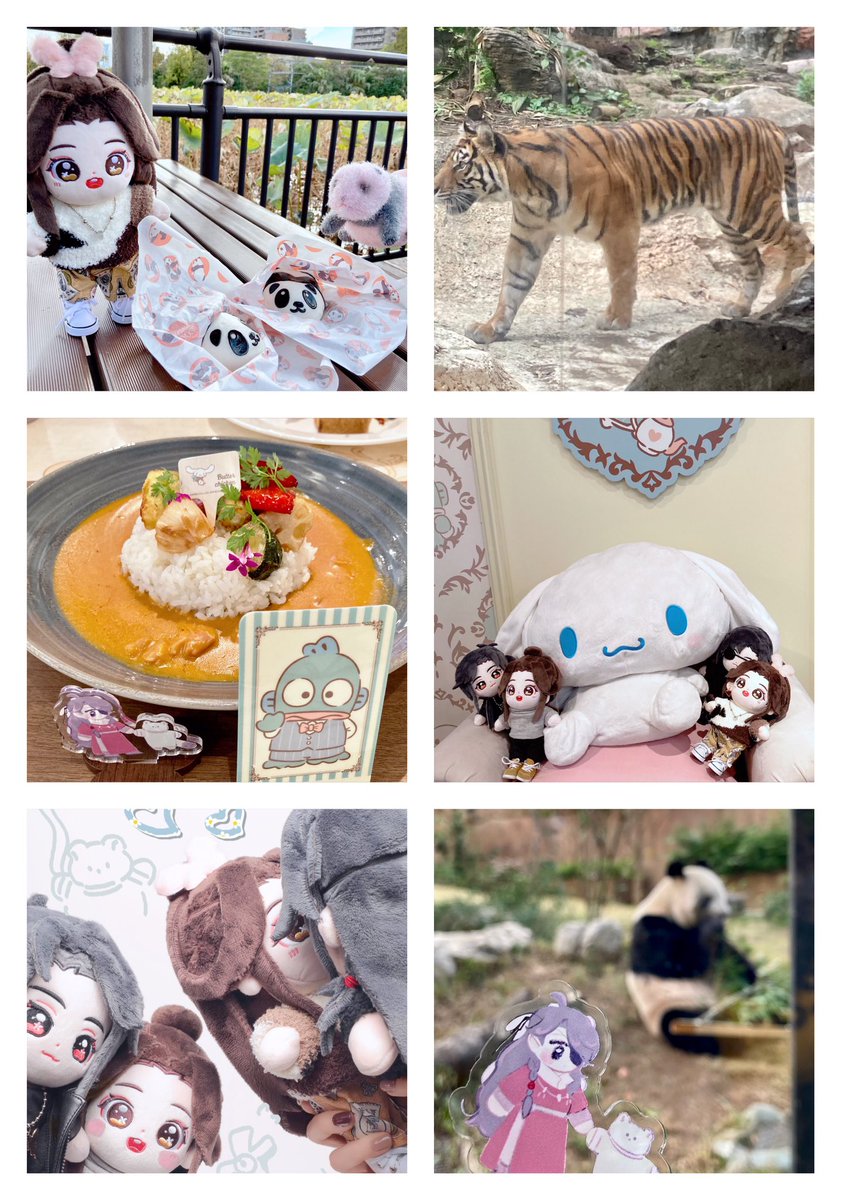 動物園🐼と念願のシナモロール席をキメてきました✌️ 全然時間足りなかった…!!!😭👏 