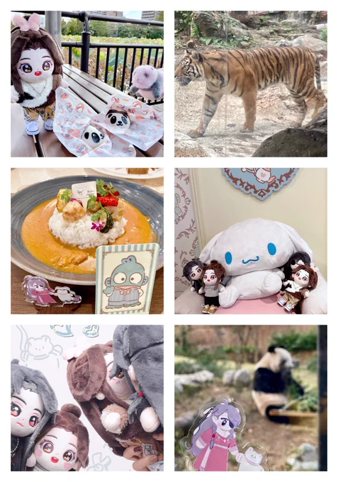 動物園🐼と念願のシナモロール席をキメてきました✌️ 全然時間足りなかった…!!!😭👏 