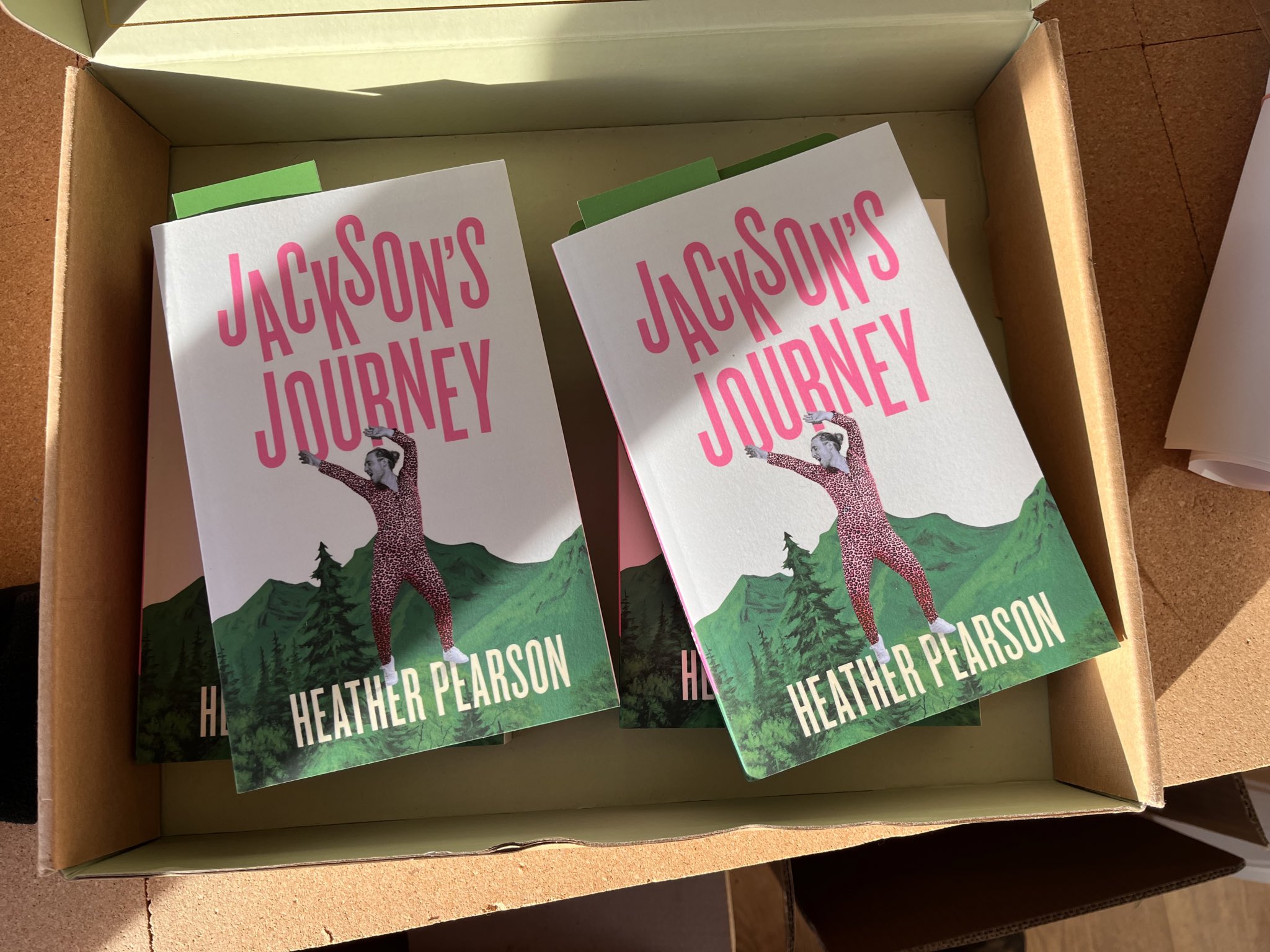 Jackson's Journey what is it all about 