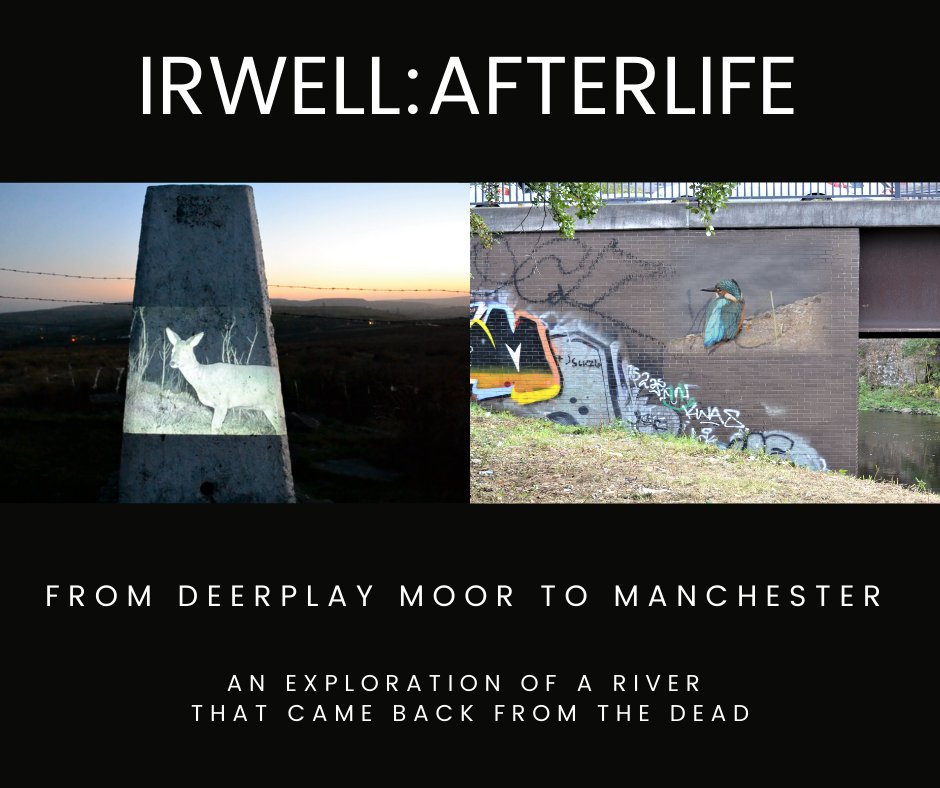 12:00 Irwell: Afterlife with Liam Spencer, 18th Nov Central 3 main foyer An introduction to Liam Spencer’s work, and exploration of the Irwell its valley from source in Rossendale to Salford Quays and the Manchester Ship Canal though paintings, drawings, photography and film.