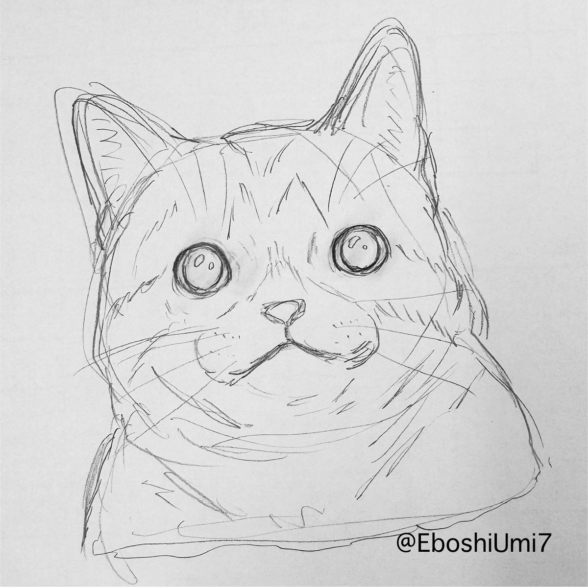 これは、職場で描いたネコチャン 
