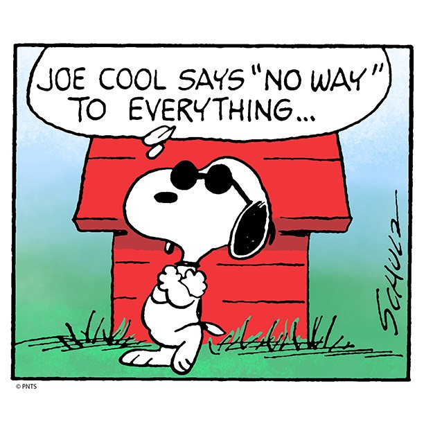 Love Snoopy (@LoveSnoopy_X) / Posts / X