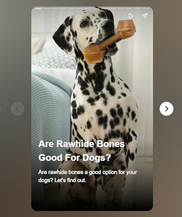 Rawhide bones for dogs are chew toys made from the inner layer of cow or horse hides, providing dogs with an outlet for natural chewing instincts. 

While they can aid dental health and alleviate boredom, caution is advised...

webstories.today/watch/are-rawh…
