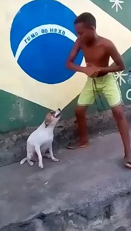 The Best Ever Seen tweet media