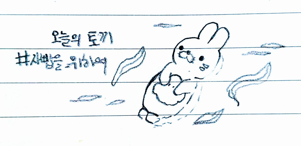 오늘의 토끼 tweet media