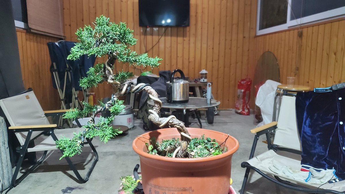 Jasonch45977478's tweet photo. The recent weather, the temperature is sometimes high and sometimes low.🥶🥵🥶🥵🥴😵‍💫 https://t.co/F4VoSOBB3r