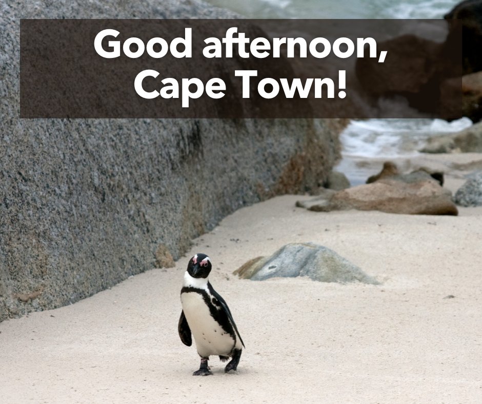 Good afternoon, Cape Town! Our team will return at 10:00am tomorrow to assist you. If you need anything before then, contact the City on 0860 103 089 for faults and enquiries. For emergencies, contact 021 480 7700 from a cellphone or 107 from a landline. #OneCityTogether